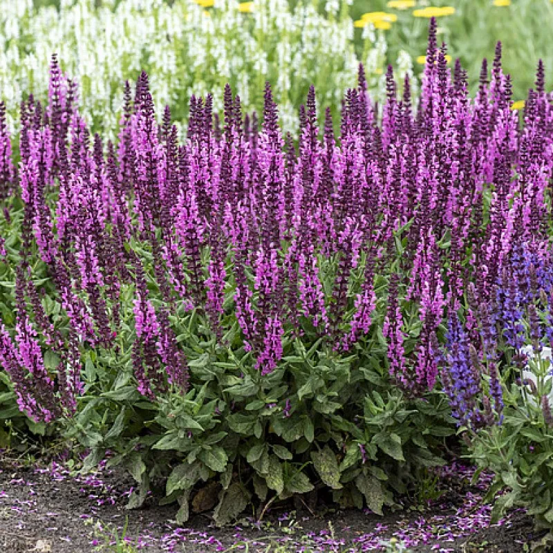 Фото 2