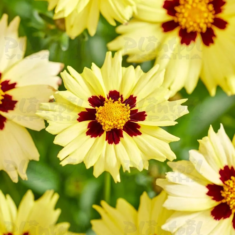 Фото 2