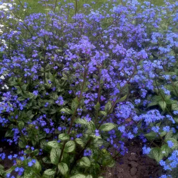 Фото 2