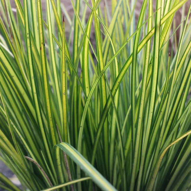 Фото 1