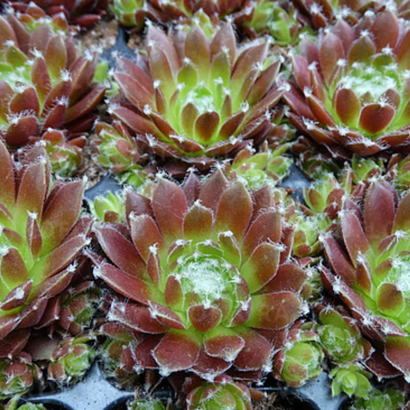 Фото 1