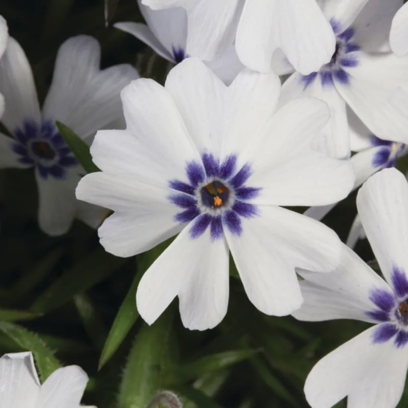 Фото 3