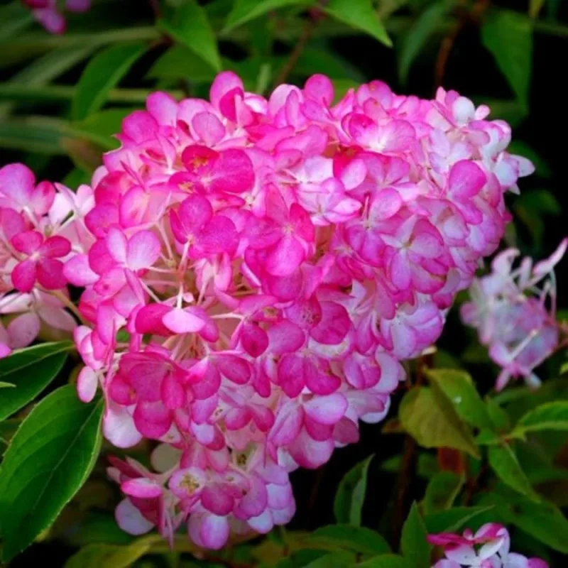 Фото 2