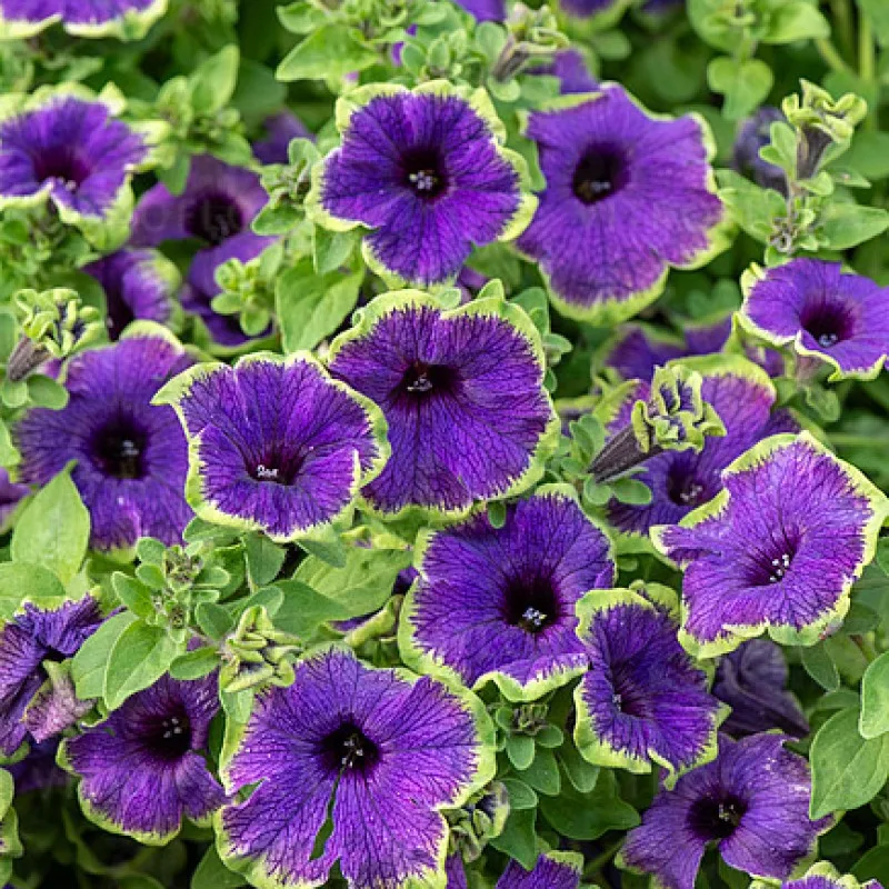 Фото 1
