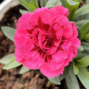 Фото 2