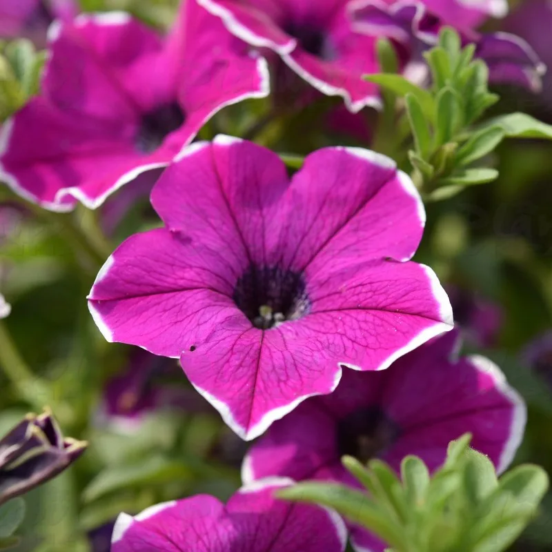 Фото 2