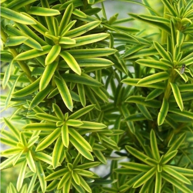 Фото 2