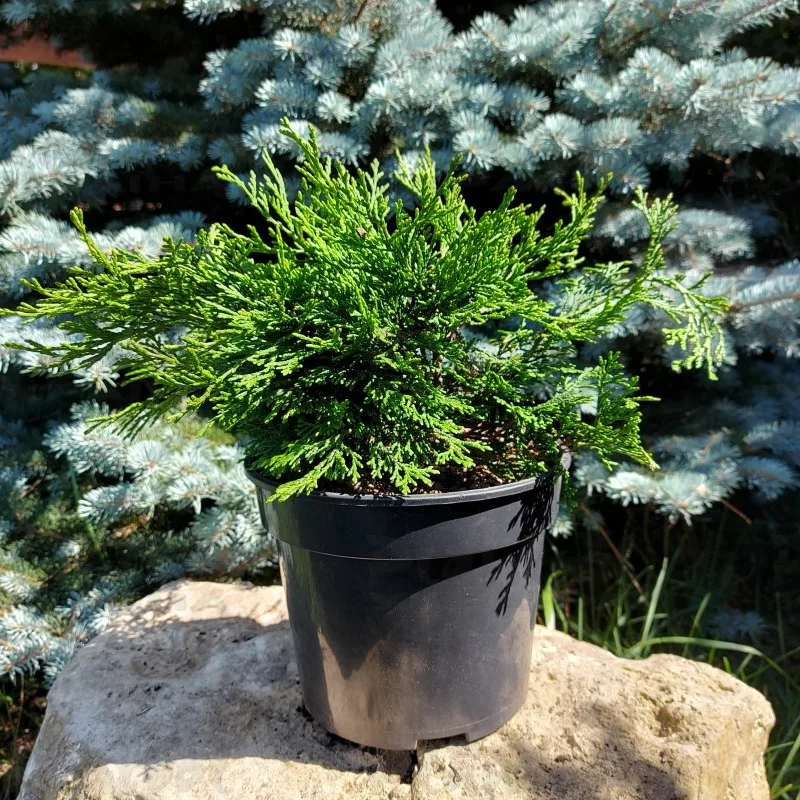 Фото 1
