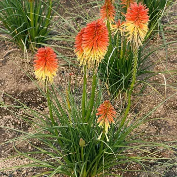 Фото 2