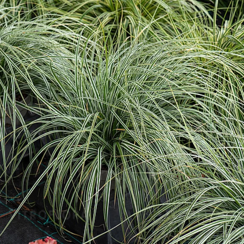 Фото 1