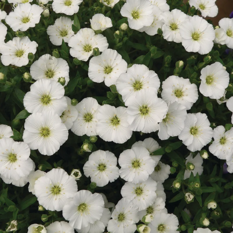 Фото 2
