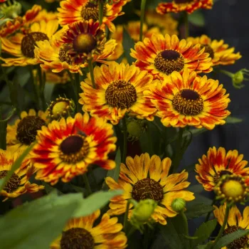 Фото 2