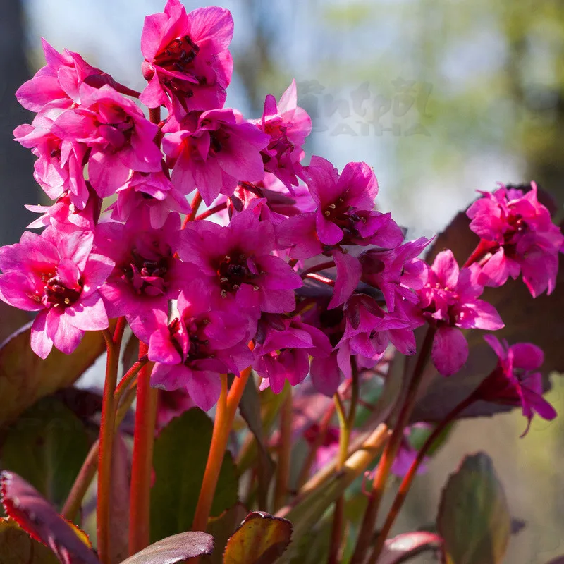 Фото 3