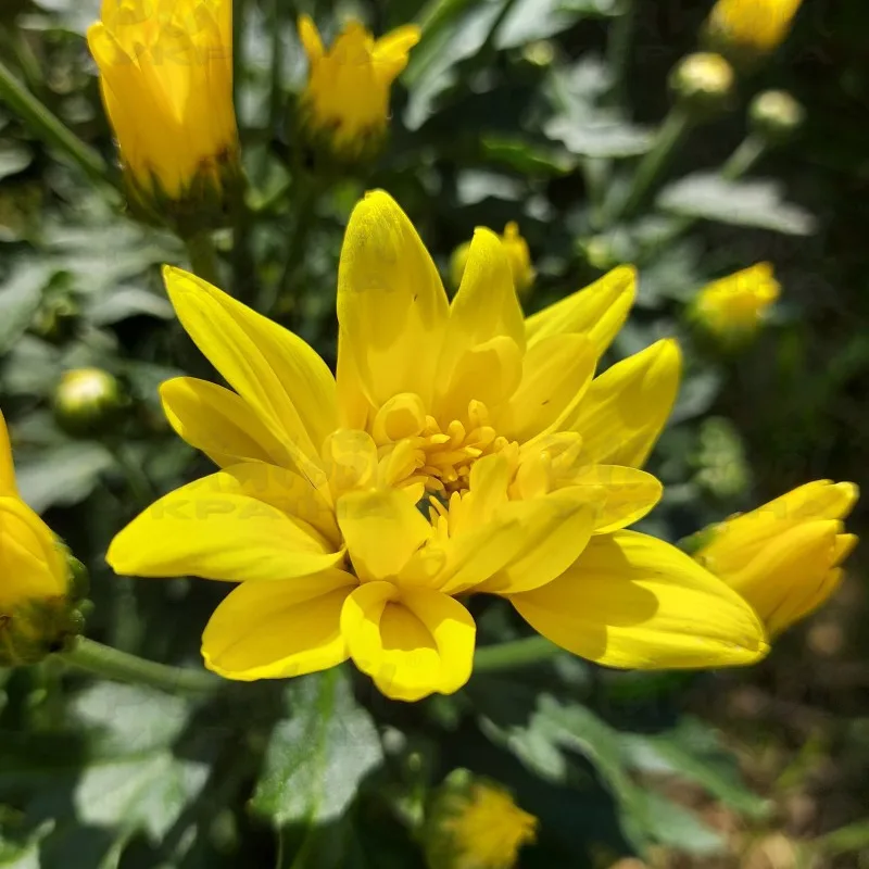 Фото 6