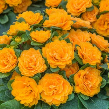 Фото 2