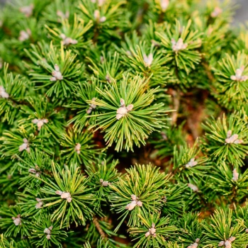 Фото 2