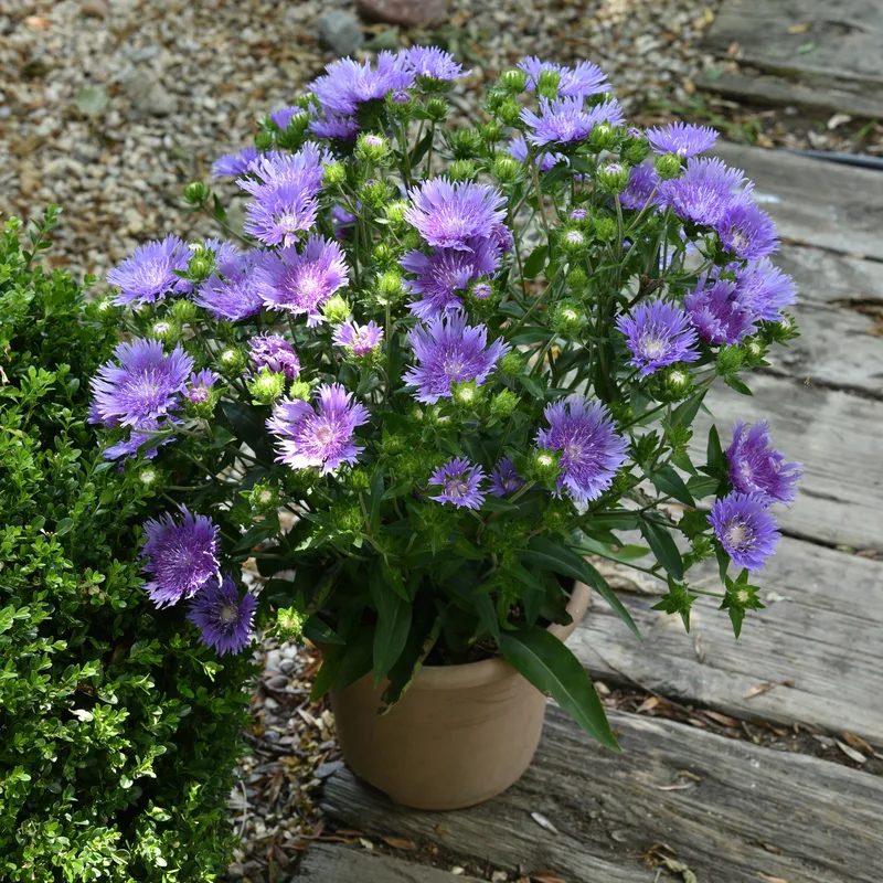 Фото 2