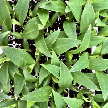 Фото 6