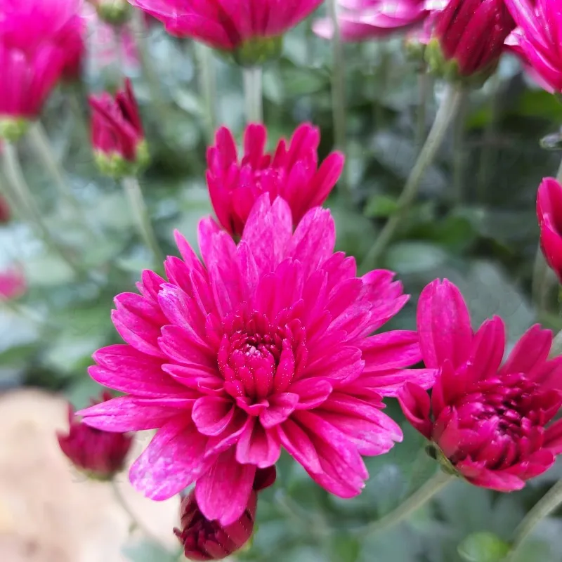 Фото 6