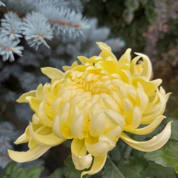 Фото 2
