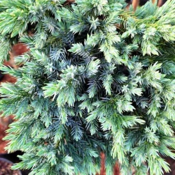 Фото 2