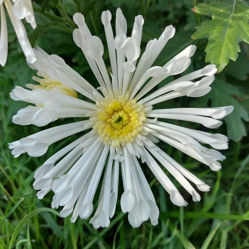 Фото 2