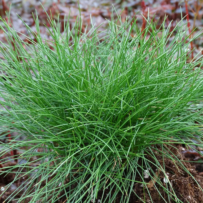 Фото 2