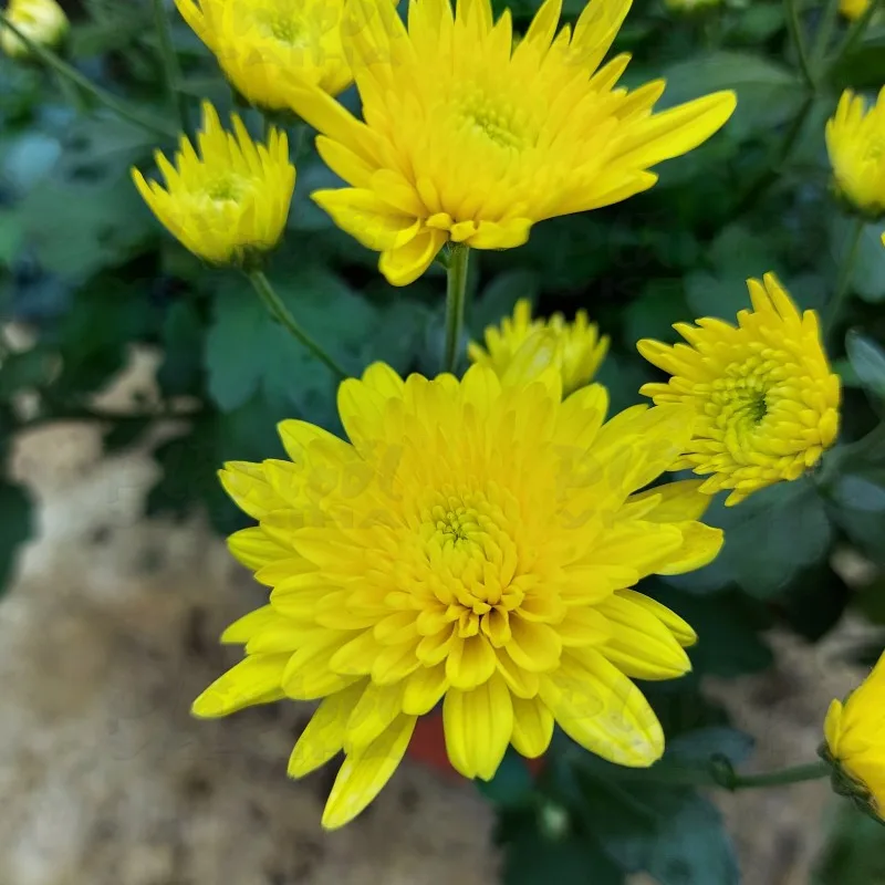 Фото 6
