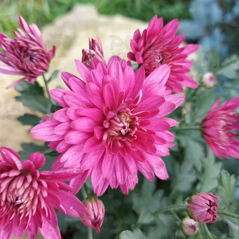 Фото 6