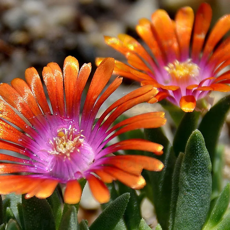 Фото 1