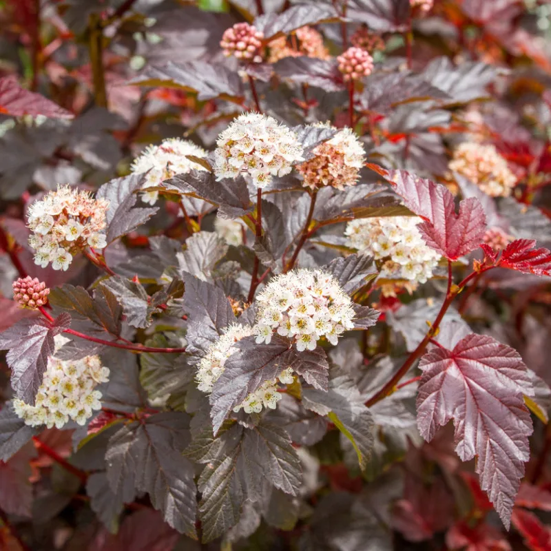 Фото 2