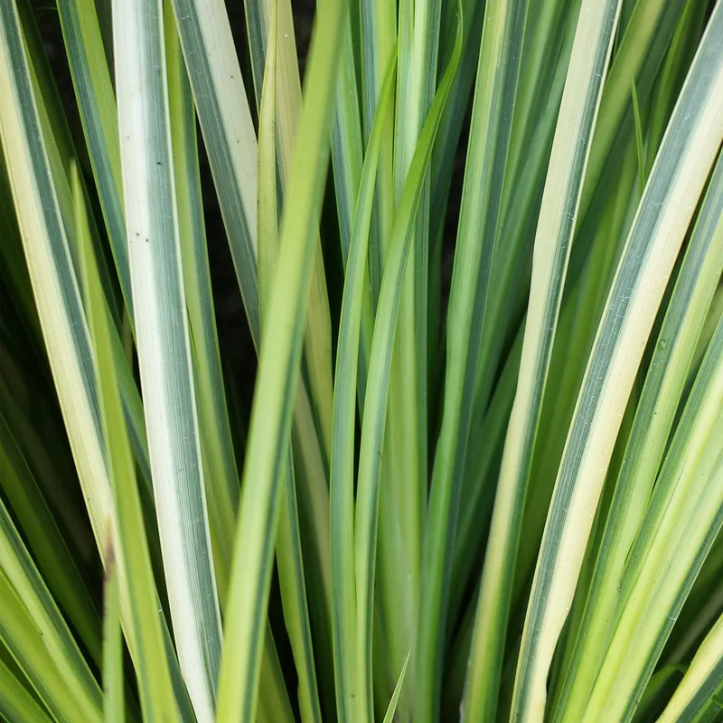 Фото 1