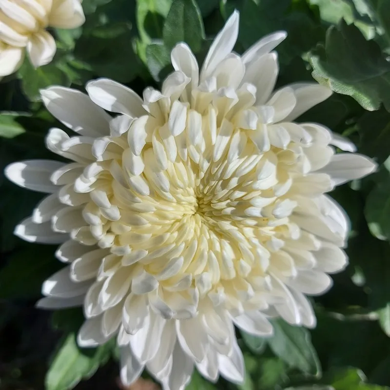 Фото 2