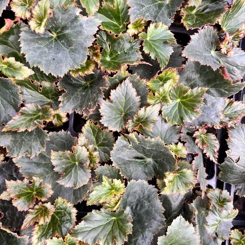 Фото 3