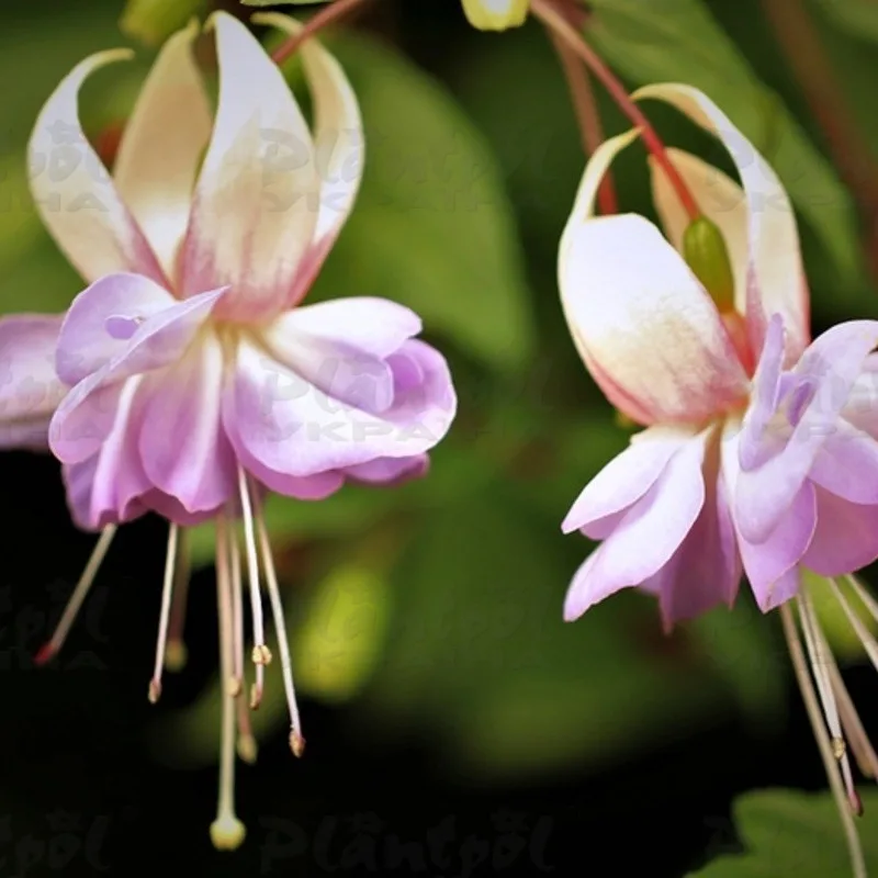 Фото 2
