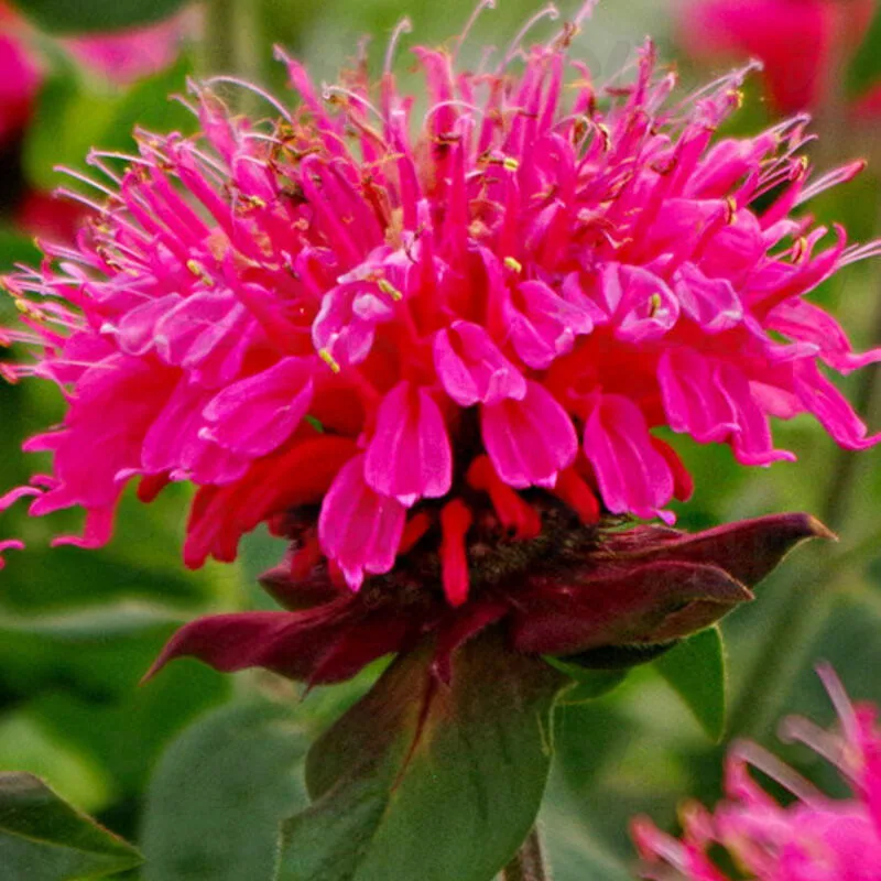 Фото 2