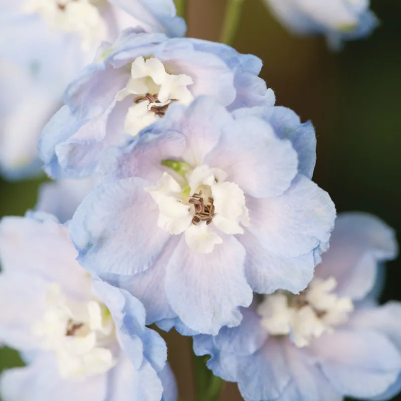 Фото 3