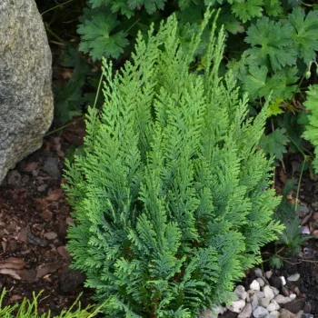 Фото 1