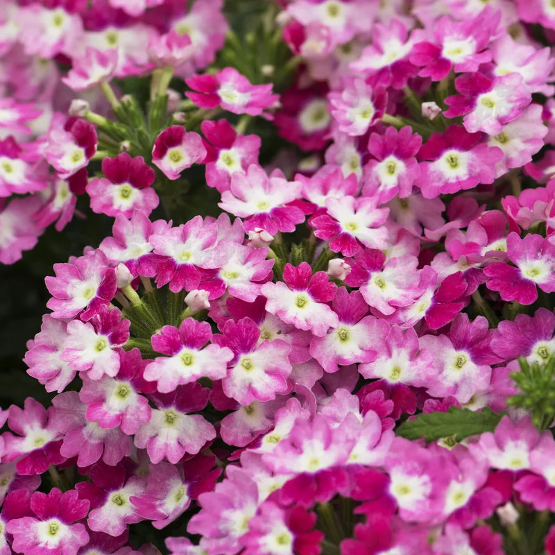 Фото 1