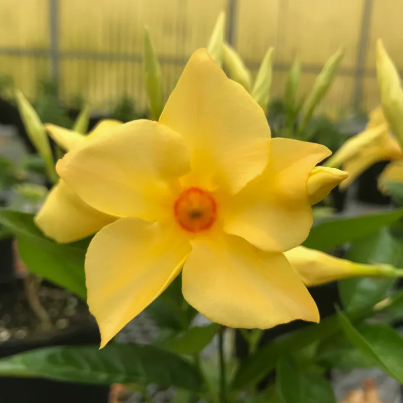 Фото 3