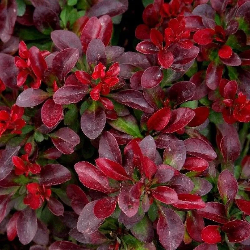 Фото 2