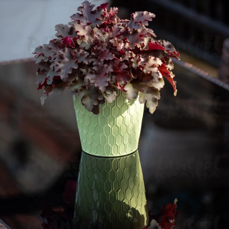 Фото 3