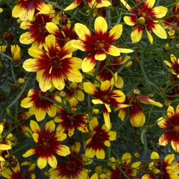 Фото 2