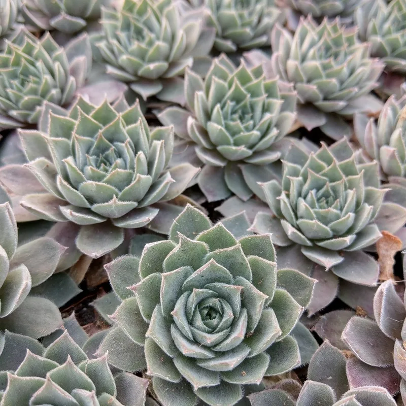 Фото 2