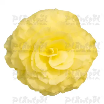 Фото 1