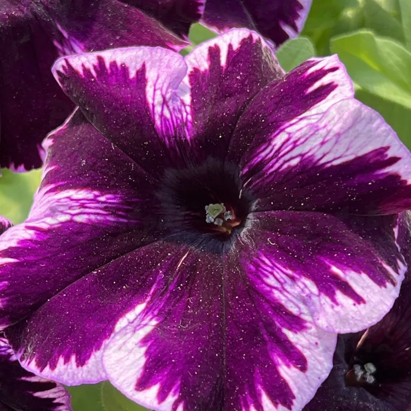 Фото 2