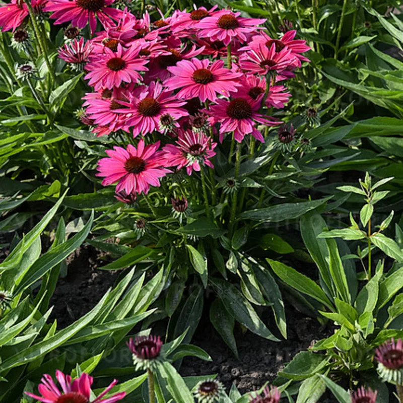 Фото 2