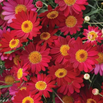 Фото 2