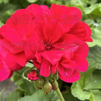 Фото 2