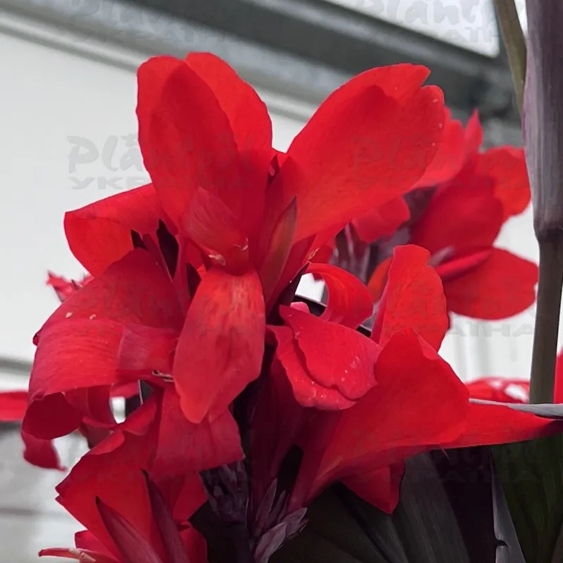 Фото 2